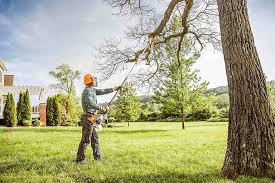 Best Emergency Tree Removal  in Huntington, VA